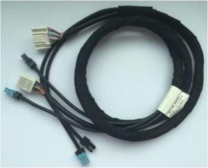 Electric Vehicle Wire Harness China Factory