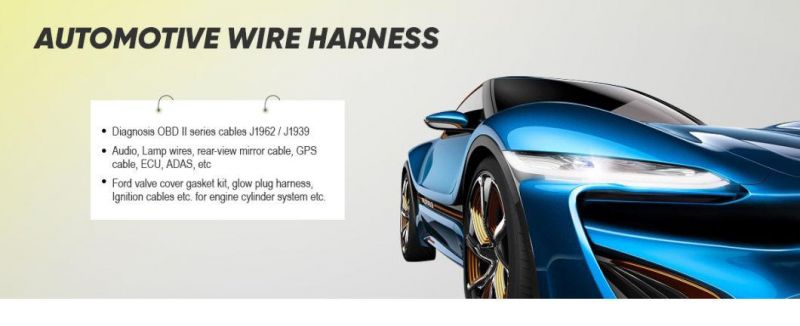 14 Pin Fci Apex 2.8mm Waterproof Delphi PA66 Automotive Wire Harness Cable Assemblies