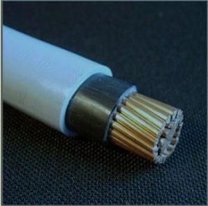 Cu/PVC Non-Sheathed Single Core Electric Cable