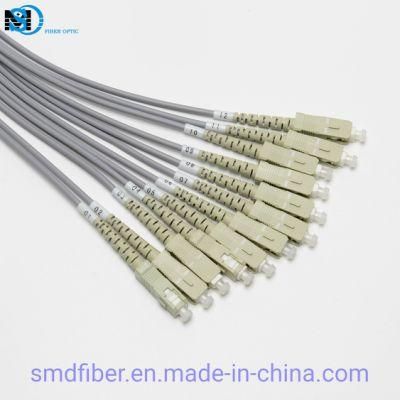 mm Armored Cable 12c LC/Upc-Sc/Upc Fiber Optic Patch Cord