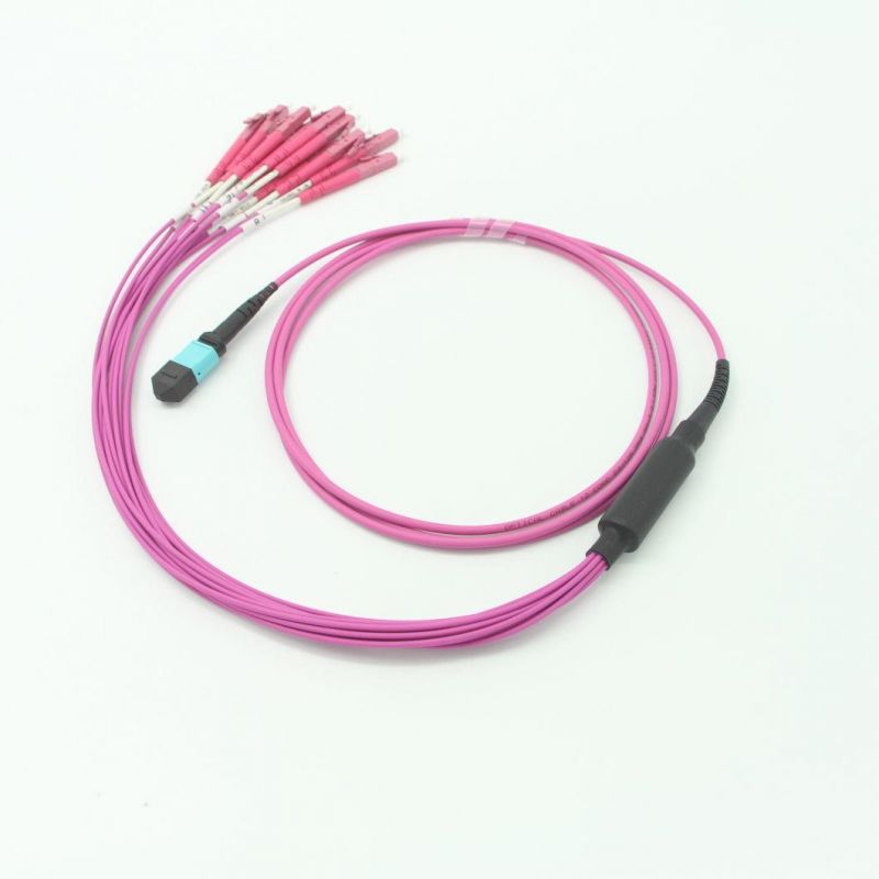 LC-MPO (Female) Om4 Fiber Optic Multimode Multicores 12 Cores 2.0mm Fanout Patch Leads with 5 Meters