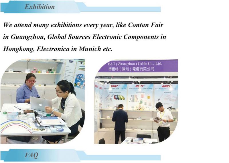 Flry-a/Flry-B/AV/AVS/Avss/Gxl/Txl XLPE PVC Auto Battery Automotive Cable