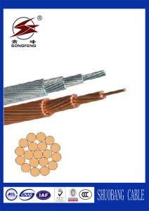 Overhead ACSR Conductor and Cable