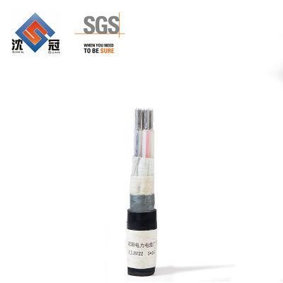 Supply Low Voltage Flexible Fireproof Electric Wire Bvr Cable 1.5mm 2.5mm 4mm 6mm 8mm with Machine Armscopper Conductor