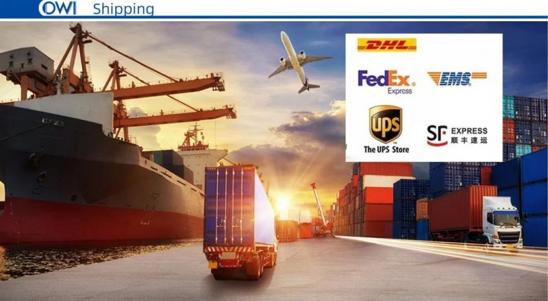 Fluke Test Cat5e / CAT6 / CAT6A / Cat7 Patch Cord / Patch Cable