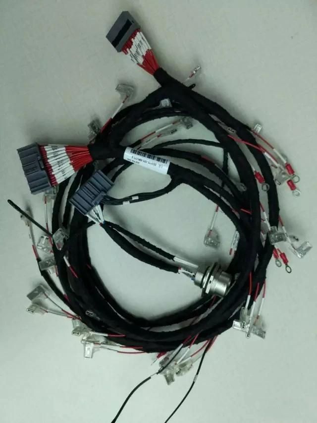 Hot Sale Cable Assembly for Green Energy Electric Vehicles EV Car BMS with Ntc Temperature Sensor