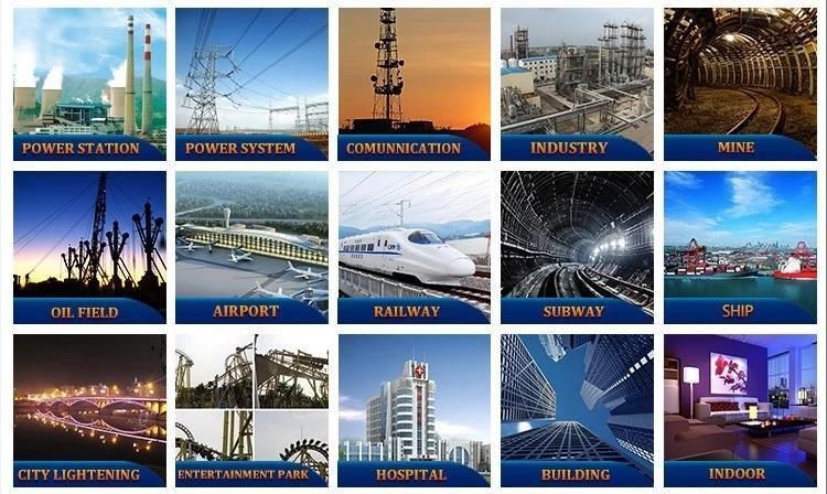 Bare Aluminum Conductor Overhead ASTM BS DIN IEC Standard ACSR Conductor