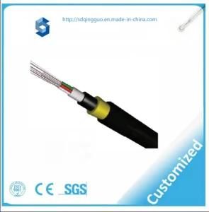 12 Core ADSS Cable Communication/Network Cable/Factory Manufacture