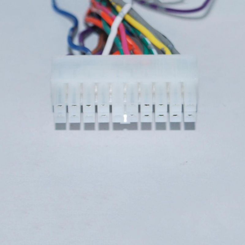 Universial Customized Home Appliance/Electrical Appliance Wire Harness with White Connector