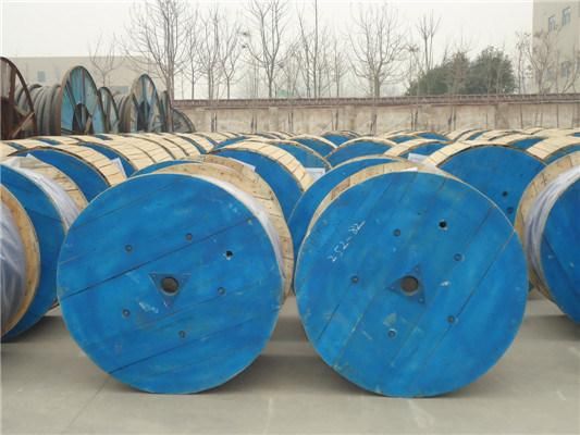 3/2.64mm Galvanized Steel Wire- Earth Wire for Uganda Market