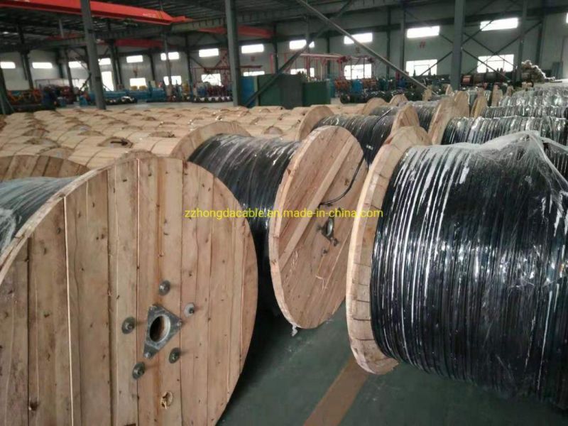 Two Core 600/1000 V 16 mm2 Insulated Twisted Service Cable