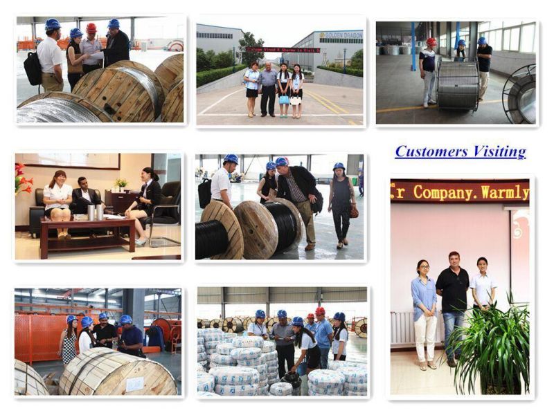 Standard ASTM Aluminum Conductor ACSR Aluminum Clad Steel Reinforced