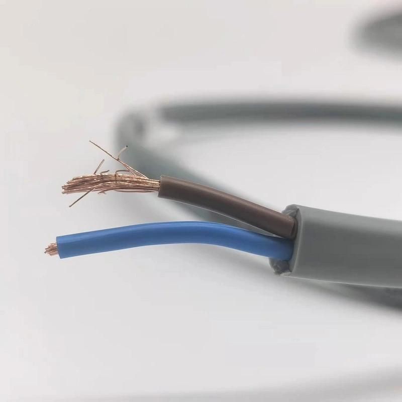 JIS Industrial Cable Vvf Cable PVC Insulated PVC Sheathed Cable 2X1mm2