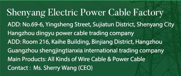 Shenguan PVC Insulated Control Cable 3X0.75mm 5X0.75mm 6X0.75mm Electrical Cable Electric Cable Wire Cable China Factroy Manufacture