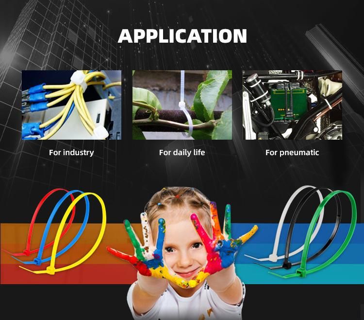 Nylon Cable Tie Plastic, Wholesale Luxury Nylon Cable Ties, 2021 Factory Manufacturer Plastic Cable Ties