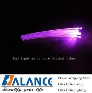 End Light Multi-Core Optical Fiber for Residence Ceiling Light