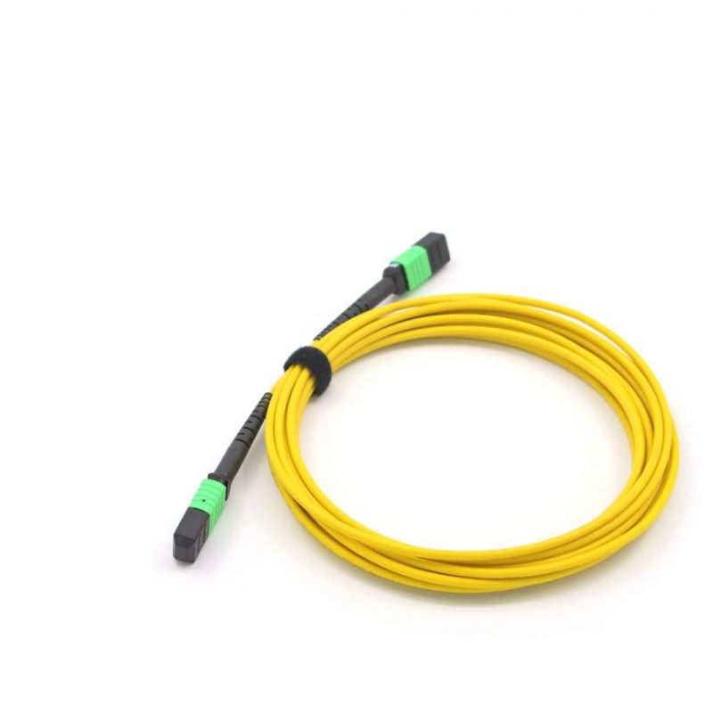 Optical Fiber Assembly MPO (female) -MPO (female) Om5 12 Core Mini Round Cable 10m