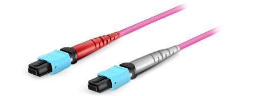 Customized MTP 24 Fiber Optical Patch Cord Om4 Multimode Conversion Harness Cable