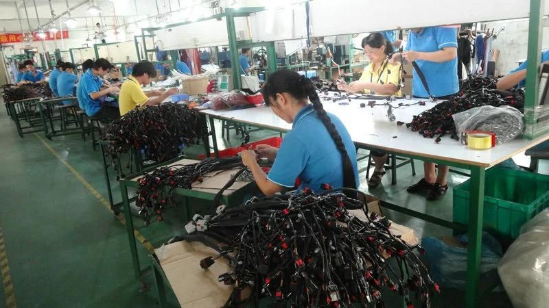 China Manufacturer Wiring Harnesses and Cable Assemblies