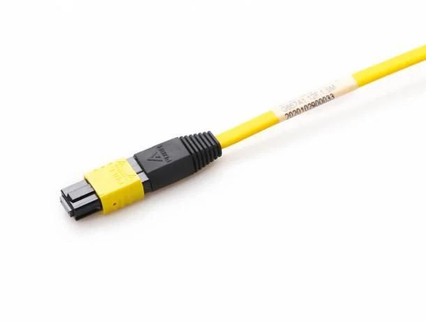 MTP Pigtail Sc Patch Cord Dys 12 Fiber Optical Communication Cables OEM Factory Testing Kit Ribbon MTP MPO Sc LC Patch Cord Pigtail 12 Cores FTTH FTTX Solution