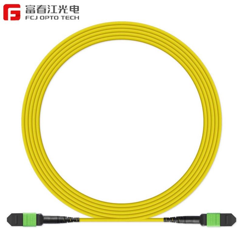 Wholesales Supplier Fiber Optic Cable for Customized High Quality MPO/MTP Patch Cord of Fuchunjiang