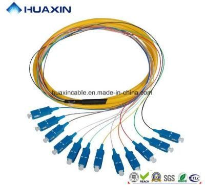 Fiber Optic 12 Bunchy Pigtail with Sc/Upc Connector Sm Manufacture/ Factory Price
