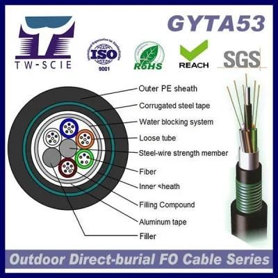 12/24 Core Excel Networking GYTA53 Optic Fiber Cable