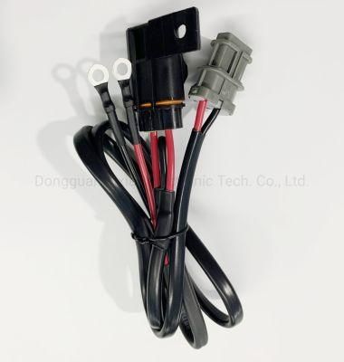 OEM Automoible Wire Harness with Original Te Jst Molex Connector or Copy Parts