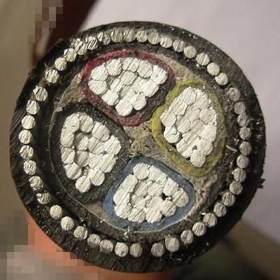 600/1000V Aluminum Conductor XLPE Insulated Steel Wire Armored Cable
