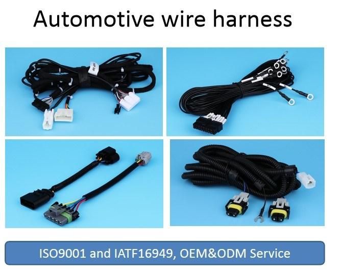 Custom Electrical Industrial Medical Automotive Wire Harness Cable Assembly Molex Connector Automotive Cables 10 AMP Fuse Block Wiring Harness