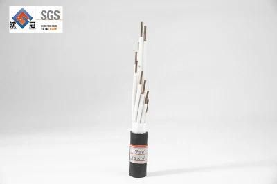 Shenguan Wire Cable Cable Low Voltage PTC Bj Tns 600 V 3 12 AWG Thhn PVC