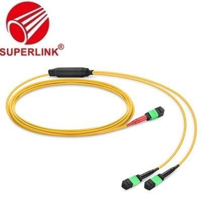 Customized MTP 24 Fiber OS2 Single Mode Conversion Harness Cable Patch Cord