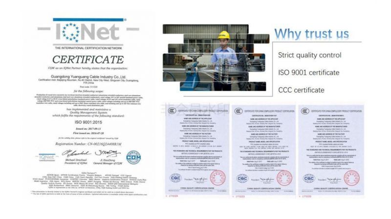 0.6/1kv Low-Voltaged Copper Conductor XLPE Insulated Power Cable for Power Transmission
