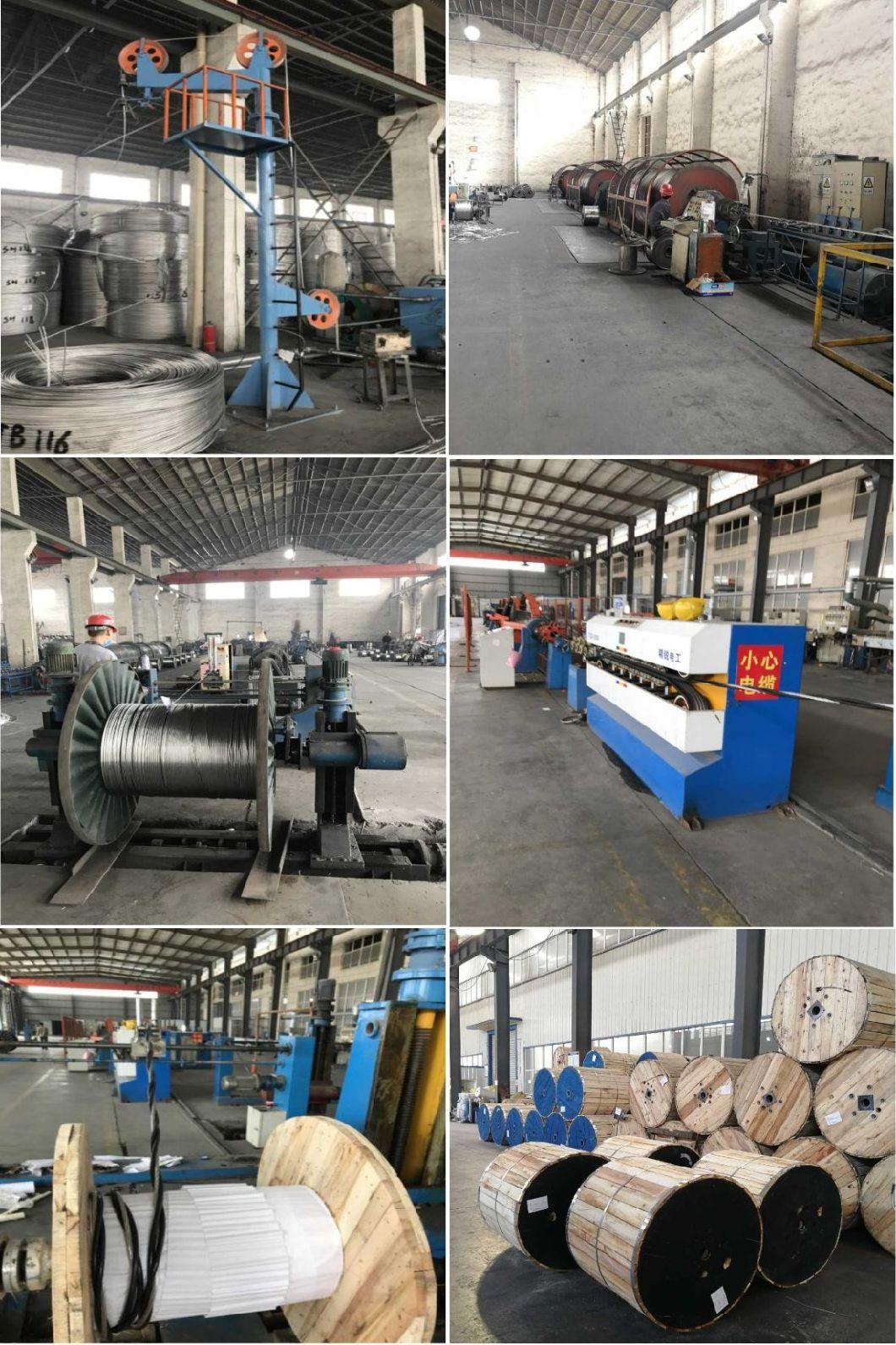 DIN Standard All Aluminum Alloy Conductor 95mm AAAC Conductor