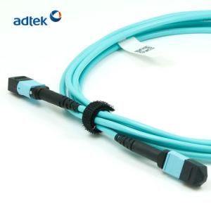 Female to Female mm 12/24 Fibers 3m PVC/LSZH Aqua Trunk Cable
