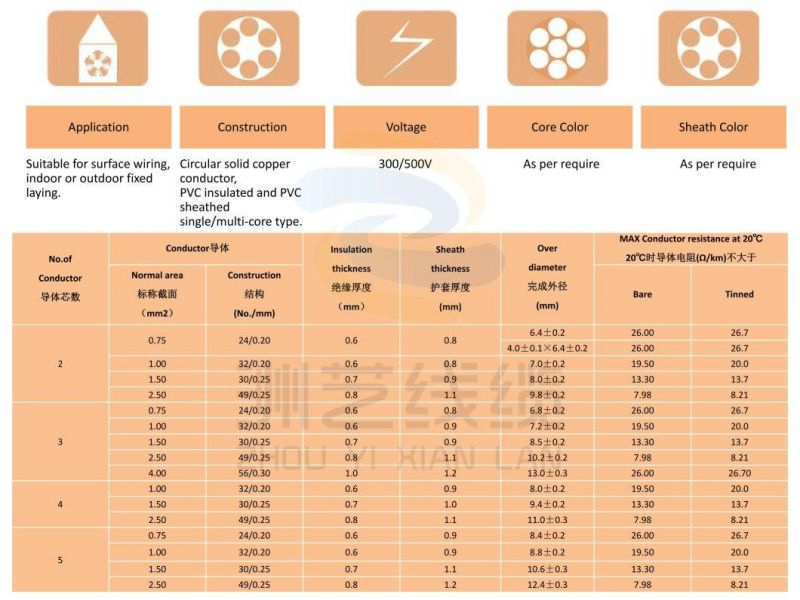 Electrical 2 Cores OEM Flexible Rvv Electric Cable