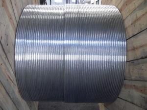 All Aluminum Alloy Conductor (AAAC)