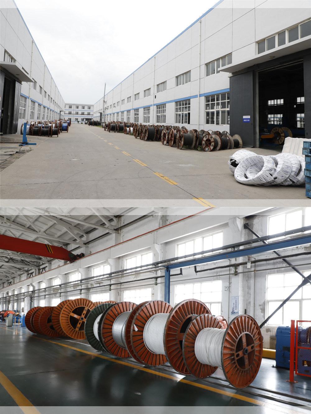 Insulation Diameter Connector Wiring for High-Speed Railways and Subways Railway Cable/Wire