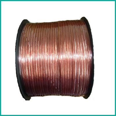 Transparent Speaker Cable