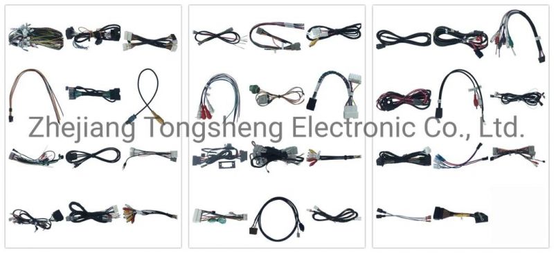 Tscn Cable Automotive Connector Wiring Harness for BMW