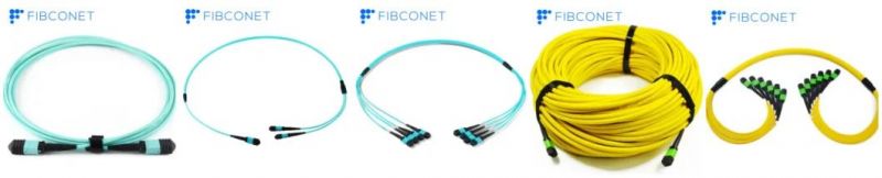 12f MPO/MTP Male/Female Multimode Om4 Fiber Optic Trunk Cable