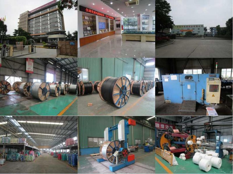 China Supplier of ACSR Electrical Cable with Simple Construction and Easy Installation