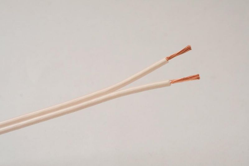 Dbg 2 Core Speaker Cable 0.75mm 6A Speaker Cables