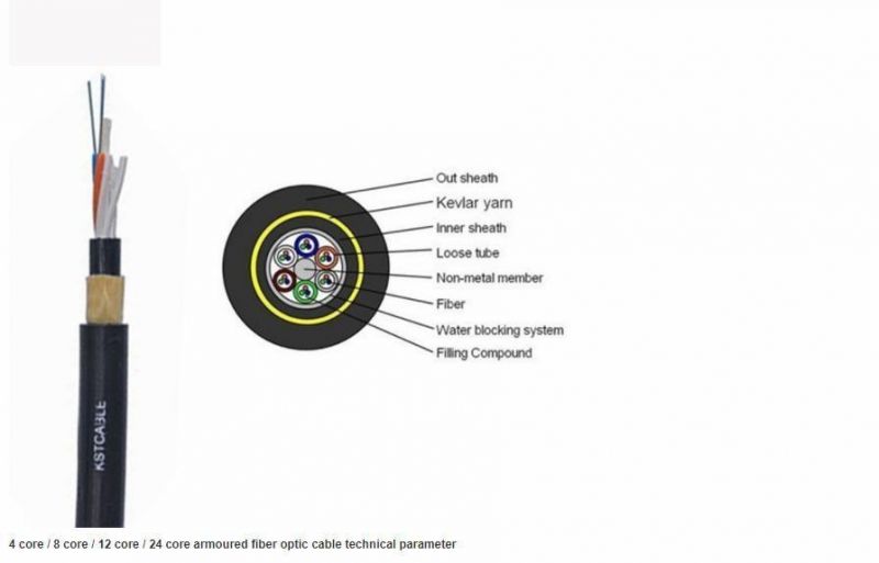 2 / 4 / 6 / 12 Core Single Mode Armoured Fiber Optic Cable