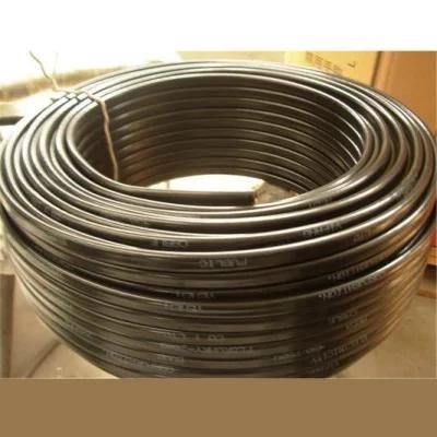 Thwn or Thhn 600 Volts Sheath PVC Insulation Nylon Jacket House Cable 2/0 AWG Price Electric Copper Wire