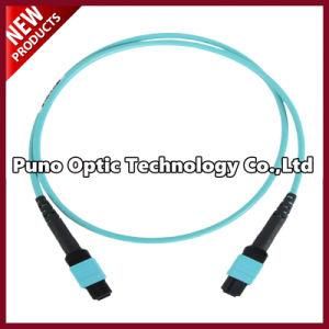 100G 24 Cores OM3 MTP Male Fiber Optic Trunk Cables