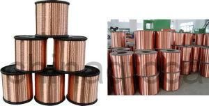 DATA Cable-Copper Clad Aluminum Wire