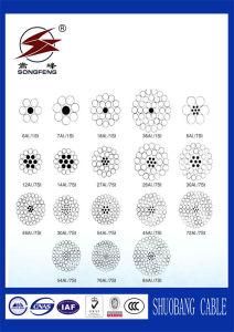 Overhead Conductor ACSR, AAC, AAAC, Acss/Tw, Accc, Aacsr, Acar, Opgw Bare Conductor