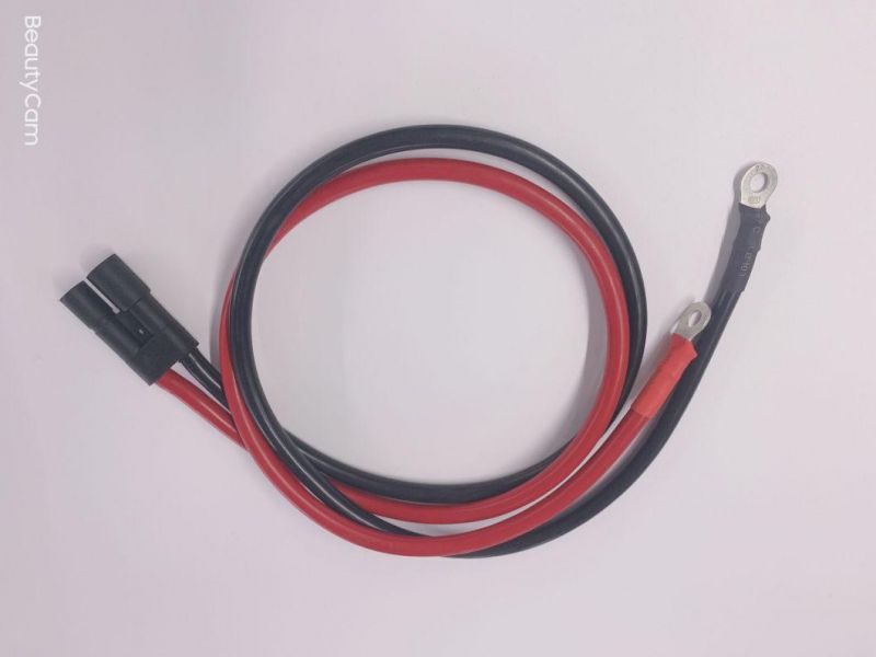 OEM Custom Power Charge Cable Wire Harness for Automotive Parts