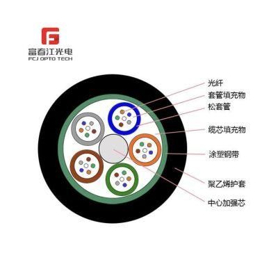 Fcj Group 12 Core GYXTW Outdoor Sm 9/125 Armored Small Od Fiber Optic Cable